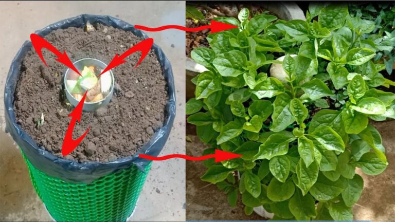 Questo semplice gesto trasforma bastoncini in un decoro rustico da sogno…
